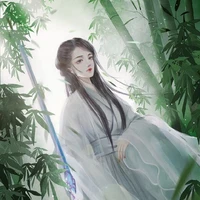 Zhen Fei ( FL servant)