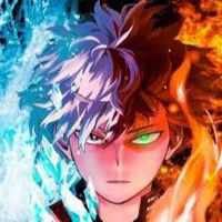 Todoroki 20 O