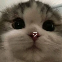 .....