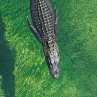 🐊.Mati.🐊 (.20.años.)