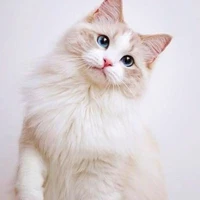 ซันนี่