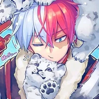 Todoroki Shoto (Sho)
