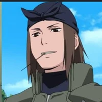 นินจา ตัวประกอบ