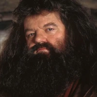 Rebeus Hagrid