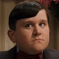 Dudley Dursley