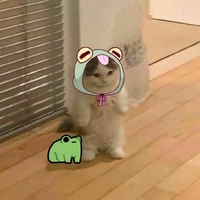 Author UwU