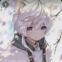 silver/system