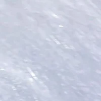 autora ٭