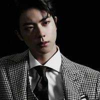 jinnie/kim seokjin