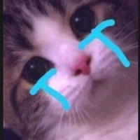 แอดมีตังมุมิ😱