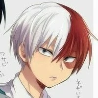 shoto todoroki (omega dominante) 18 años