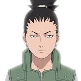 Shikamaru (alfa)