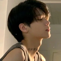 ไวก้า/พ.อ