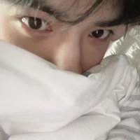 bang vano