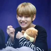 taehyung /supreme omega