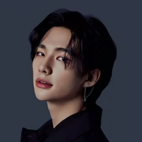 Kim Sam[twin of hyunjin]