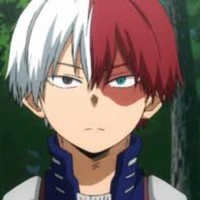 Shoto Todoroki