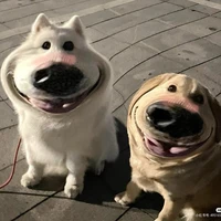 เเอดเองน้าบ