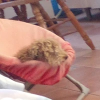Creadora <3