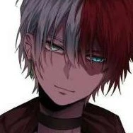 Todoroki