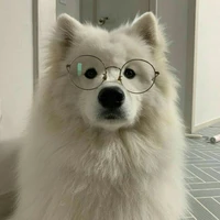 แอดแอง//🐶🐶🐶