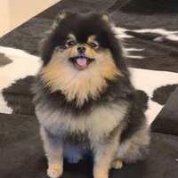 Yeontan