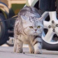 แอดชอบมัลริตัลโพหนี