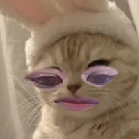 แม่ครัว