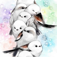 Bird