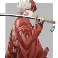 shouto todoroki  (apd)