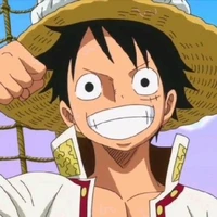 🍗Luffy🍗