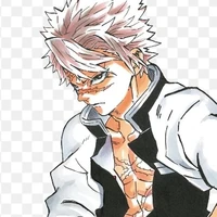 •Shinazugawa Sanemi•