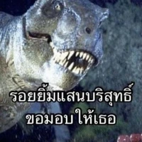 เป็นทุกอย่าง