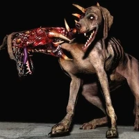 Tayson