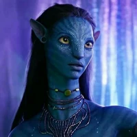 🍃Neytiri Sully🍃