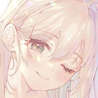 y/n