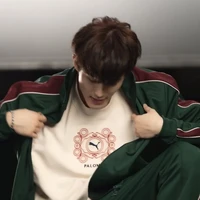 Jung Mark