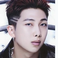 Kim Namjoon / RM