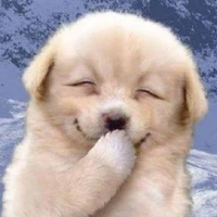 มะ หมา[แอด]