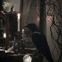 𝐴𝑔𝑛𝑒𝑠