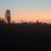 แอด