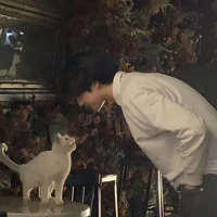เจย์