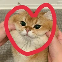 แอดเองจร้า