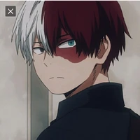 Shoto Todoroki