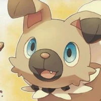 Rockruff(♂️)