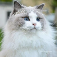 Esmeralda