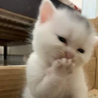 แอด~~👑😊