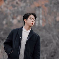 kim seokjin