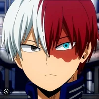 shoto todoroki
