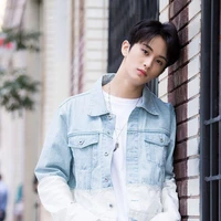 Jung Mark